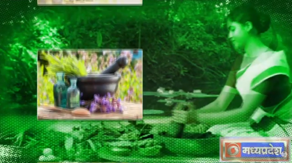  DD Madhya Pradesh की प्रस्तुति 'आयुष' में देखें Cancer रोग विशेषज्ञ Dr. Ajay Hardia से खास बातचीत